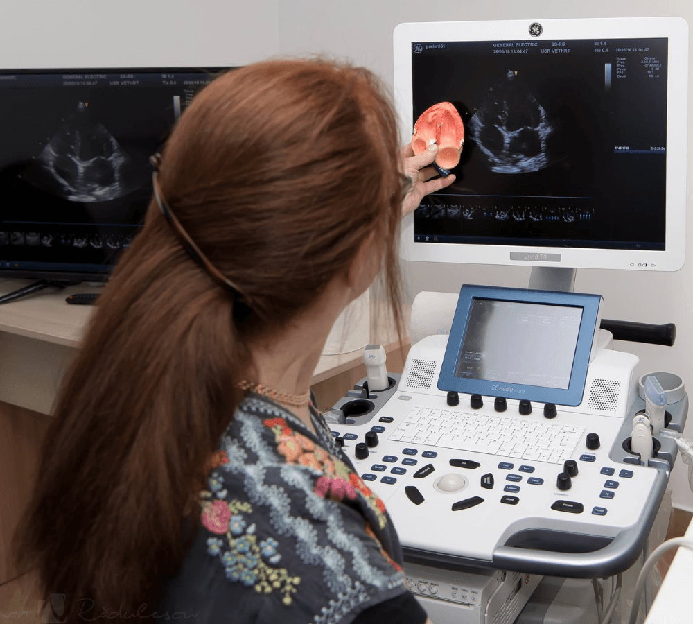 On-site ultrasound training session image