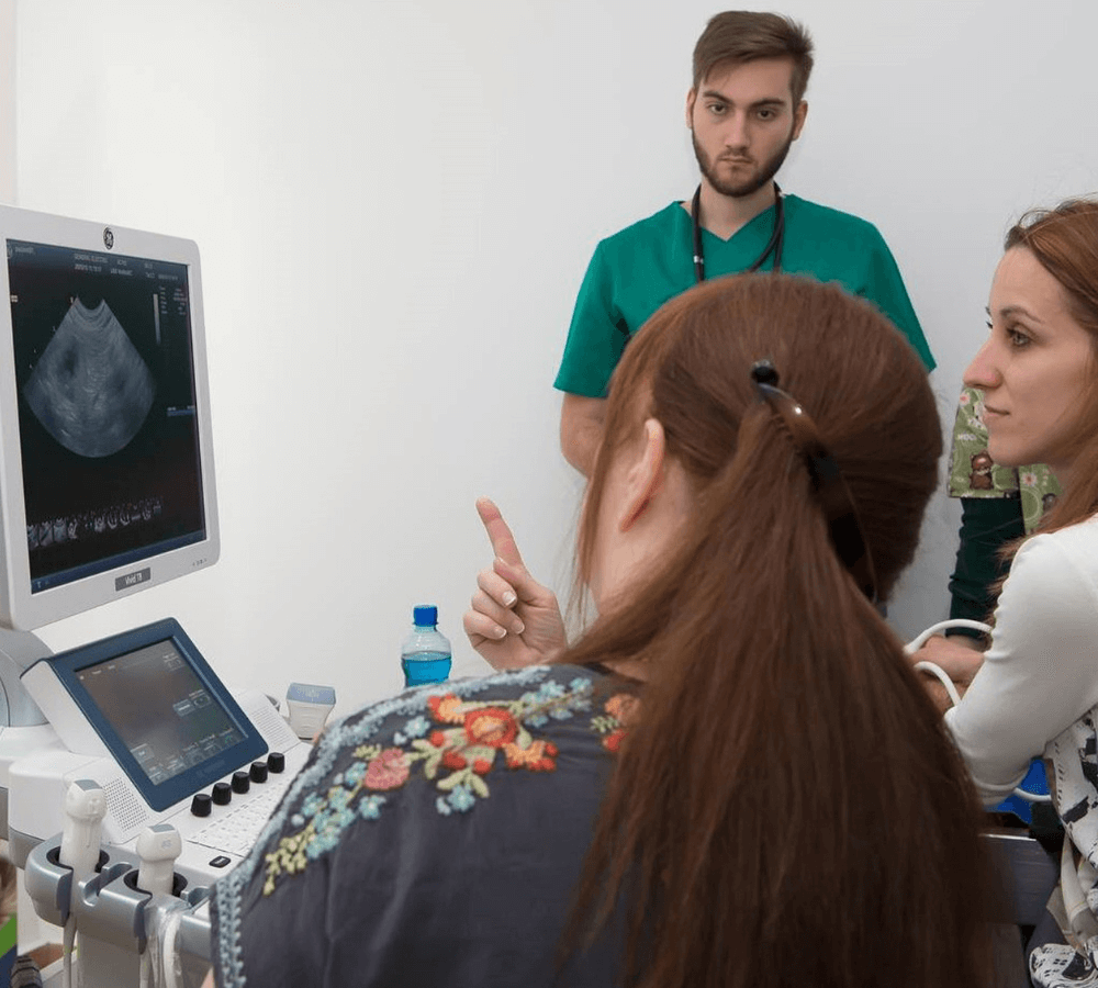 On-site ultrasound training session image