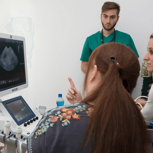 Onsite ultrasound training session